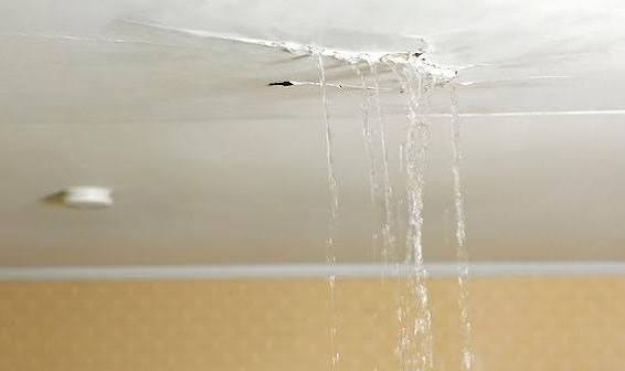 How Quickly Should You Call Someone for a Ceiling Water Leak Before Damage Spreads?